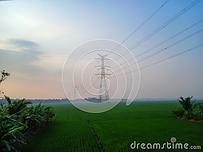 Electric pylon with wires connecting each other through green rice fields. Stock Photo