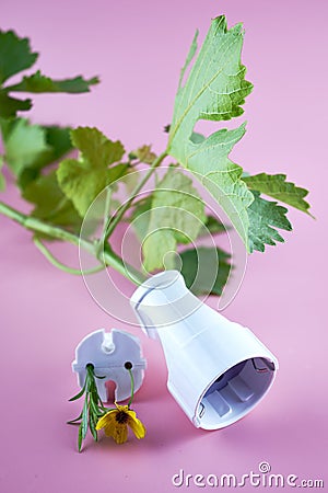 an electric socket with a plant stem instead of a cable next to an electric plug with plants and flowers conception Stock Photo