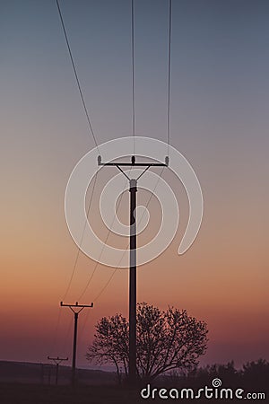 Electric tower cable nature landscape trees energy industry sunset mist Stock Photo