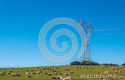 electric trellis in a sheep pasture Stock Photo