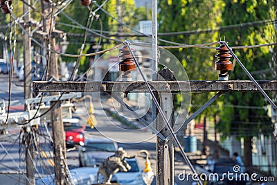 Electrical insulators and wires on poles in Asia Stock Photo