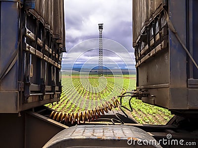 Electrical and pneumatic connections between truck with antenna and bean plantation Stock Photo