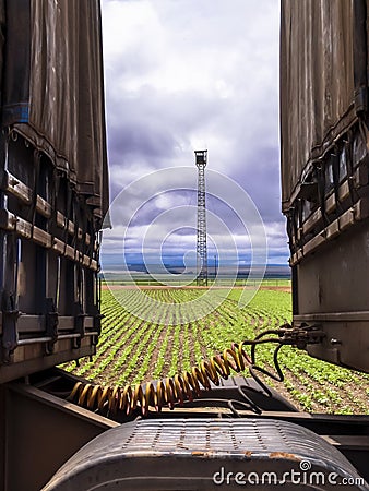 Electrical and pneumatic connections between truck with antenna and bean plantation Stock Photo