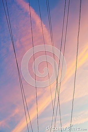 Electrical wires with pink sunset clouds Stock Photo