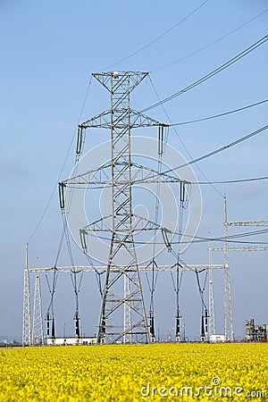 Electricity poles Stock Photo