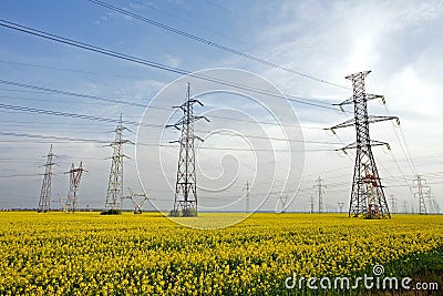 Electricity poles Stock Photo