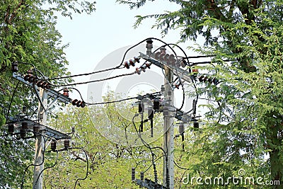 Electricity poles Stock Photo