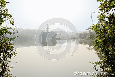 Electricity pylon on woody island in lake on foggy winter day Stock Photo