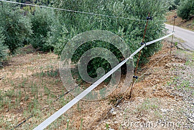 Electrified fence on a farm to prevent livestock from escaping Stock Photo