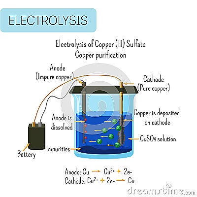 Electrolysis of copper sulfate solution with impure copper anode and pure copper cathode Cartoon Illustration