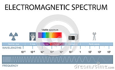 Electromagnetic spectrum Vector Illustration