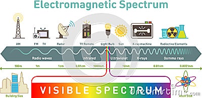 Electromagnetic spectrum infographic diagram, vector illustration Vector Illustration