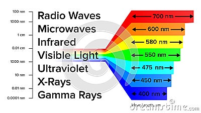 Electromagnetic Spectrum Information Gamma Rays Scheme Vector Stock Photo
