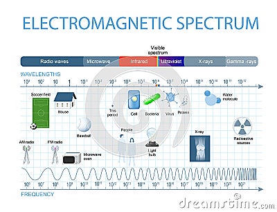 Electromagnetic spectrum Vector Illustration