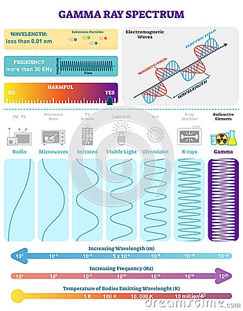 Electromagnetic Waves: Radioactive Gamma Rays Spectrum. Vector illustration diagram with wavelength, frequency and wave structure. Vector Illustration