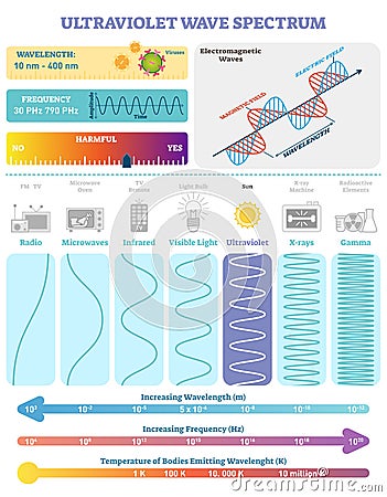 Electromagnetic Waves: Ultraviolet Wave Spectrum. Vector illustration diagram with wavelength, frequency, and wave structure. Vector Illustration
