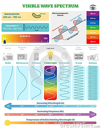 Electromagnetic Waves: Visible Wave Spectrum. Vector illustration diagram with wavelength, frequency and wave structure Vector Illustration