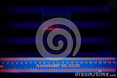 Electrophoregram of DNA separation Stock Photo