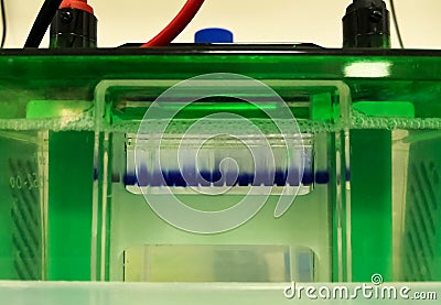 Electrophoresis, scientific laboratory technique for protein separation Stock Photo