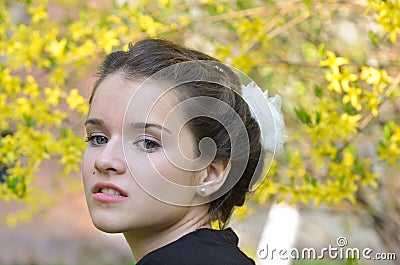 Elegance and beauty Stock Photo