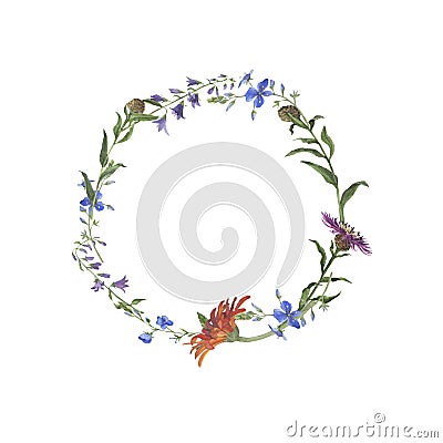 Elegance flower frame with summer wild flowers isolated on white background. Hand drawn watercolor vector illustration. Vector Illustration