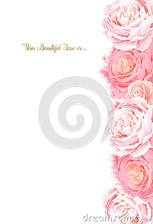 Elegance flowers frame of color roses. Composition with blossom flowers on the white background. Vector Illustration