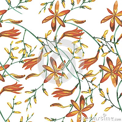 Elegance seamless pattern in vintage style with Crocosmia flowers Vector Illustration