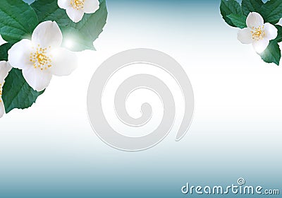 Elegant background with beautiful flowers jasmine greeting card or wedding invitation template. Vector Vector Illustration