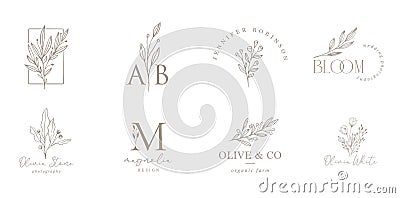 Elegant, botanique logo collection, hand drawn illustrations of flowers, leaves and twig, delicate and minimal monogram Vector Illustration