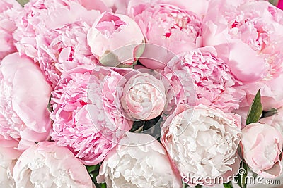 Elegant bouquet of a lot of peonies of pink color close up. Beautiful flower for any holiday. Lots of pretty and Stock Photo