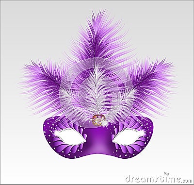 Elegant carnival mask with beautiful feathers. Vector Illustration