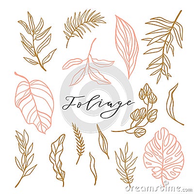 Elegant collection of foliage for stylish feminine logo or wedding invitation. Set cute leaves. Vector illustration. Vector Illustration