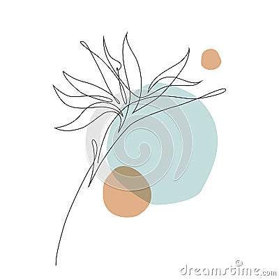 Elegant continuous line drawing. Minimal art flower on geometric shapes backgroud Vector Illustration