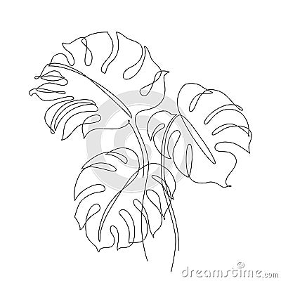 Elegant continuous line drawing. Minimal art leaves isolated on white backgroud Vector Illustration