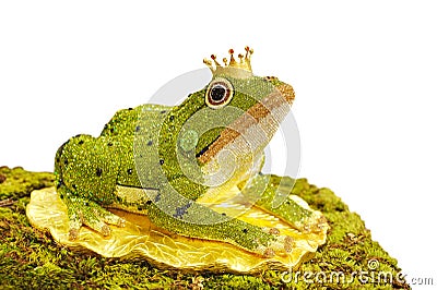 Elegant designed diamond in frog on white background, the frog p Stock Photo