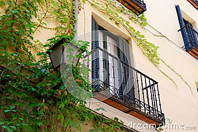 Elegant facade with vivid greenery and vintage balcony downtown Madrid, Spain Stock Photo