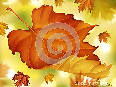 Elegant fall foliage background Vector Illustration