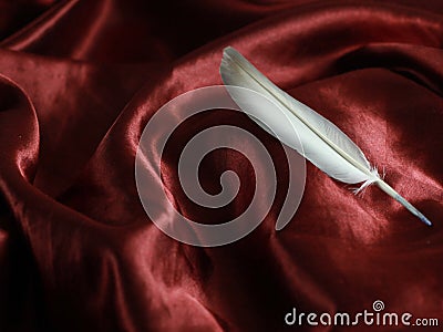 Elegant feather and red burgundy silk background artistic frame calligraphy Stock Photo