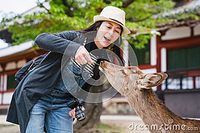 Tourist feeding deer with cheerful smile Stock Photo