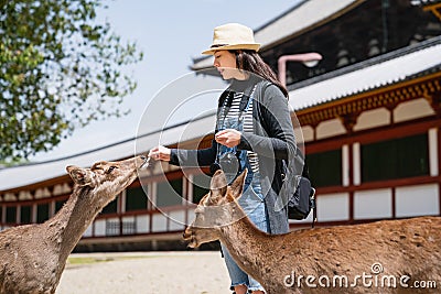 An elegant female tourist feeding grass to deer Stock Photo