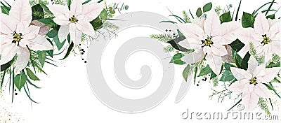 Elegant festive winter season floral site banner Facebook cover design. White Poinsettia flowers, Christmas spruce tree twigs, Vector Illustration