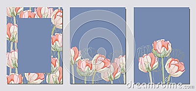 Elegant floral invite set modern card in tulips Vector Illustration