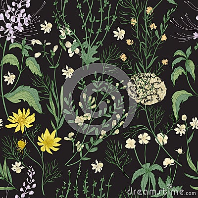 Elegant floral seamless pattern with gorgeous hand drawn wild flowers, tender flowering herbs and herbaceous plants on Vector Illustration