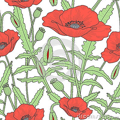 Elegant floral seamless pattern with poppy flowers Vector Illustration