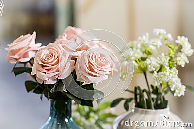 Elegant glass vase Stock Photo