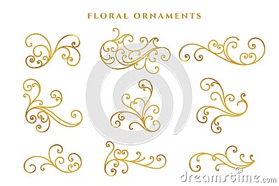 Elegant golden floral decoration big set design Vector Illustration