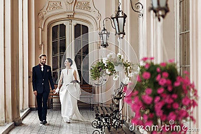 Elegant gorgeous bride and stylish groom walking holding hands, Stock Photo