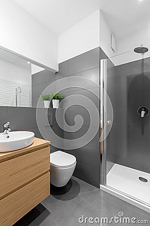 Elegant gray and white bathroom Stock Photo