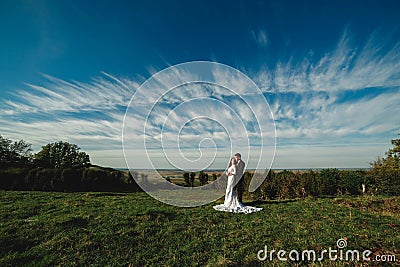 Elegant groom hugs a gorgeous brunette bride on a background of nature and blue sky Stock Photo