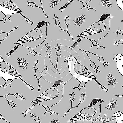 Elegant hand drawn Christmas seamless pattern with bullfinch and goldfinch birds and rose hips. Winter vintage engraving Vector Illustration